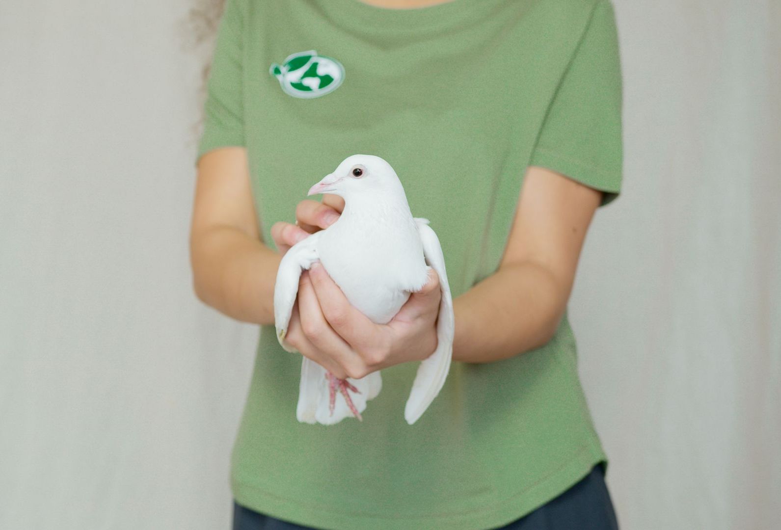 A woman in a green shirt is holding a white bird in her hands.