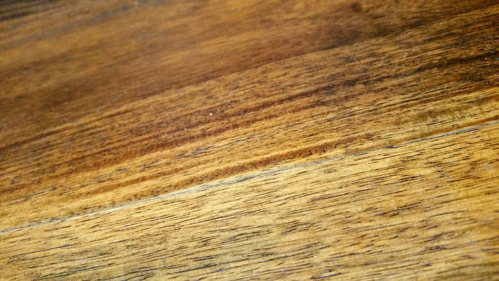 Suar houtsoorten en verschillende soorten suar hout