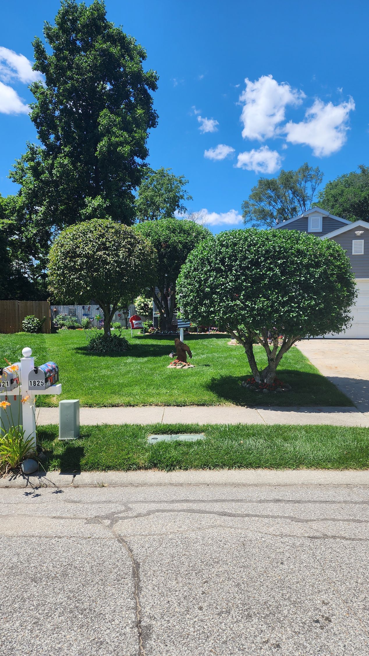 A lawn with trees and bushes in front of a house on a sunny day.