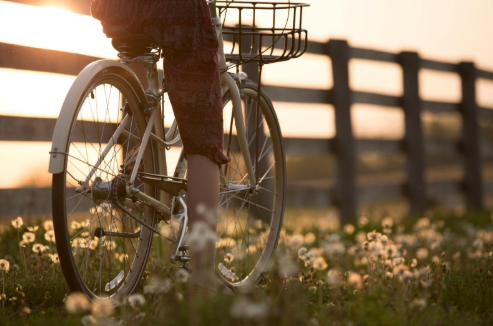 Outdoor Activities Without the Ache: Joint-Friendly Exercises for Spring | PTCOA