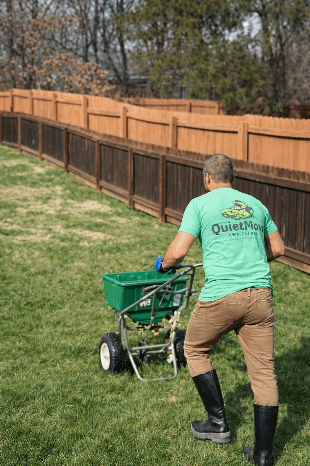 Man pushing a fertilizer spreader on a green lawn near a wooden fence.