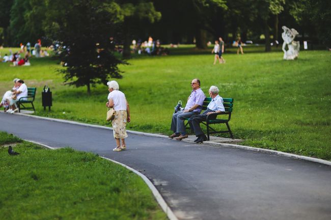 People relaxing on benches and grass along a curving path in a green park
