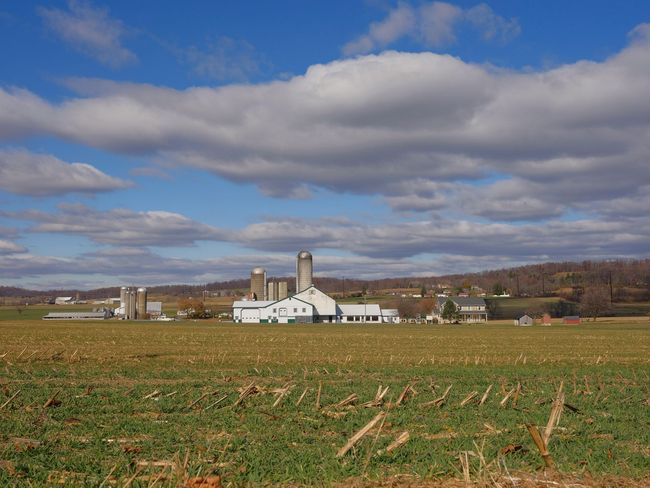 Rural farm with white barns and silo beside a field under a cloudy blue sky