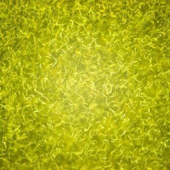 Abstract yellow-green textured pattern with a bright center simulating algae.