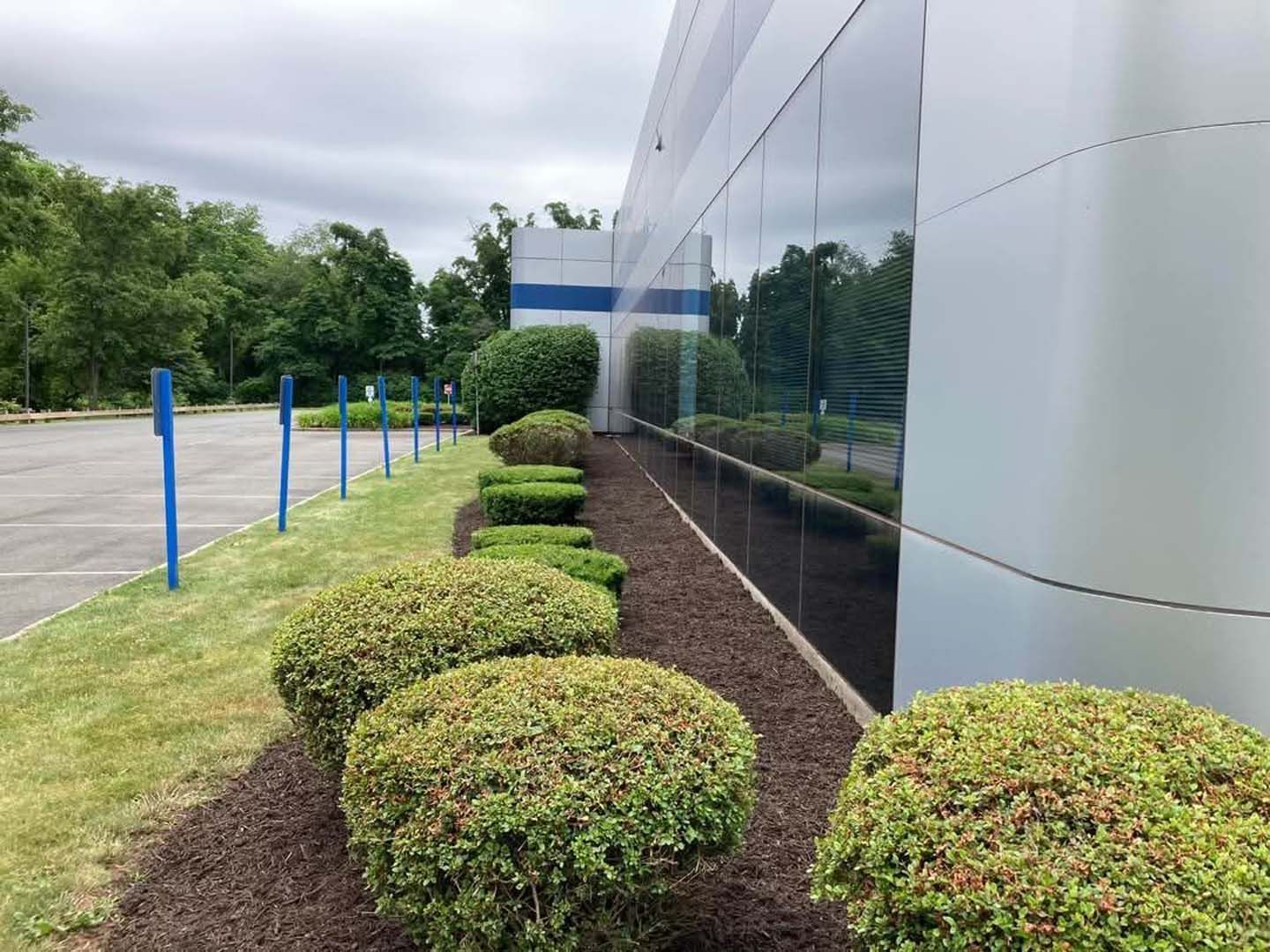 A white building with a lot of bushes in front of it.