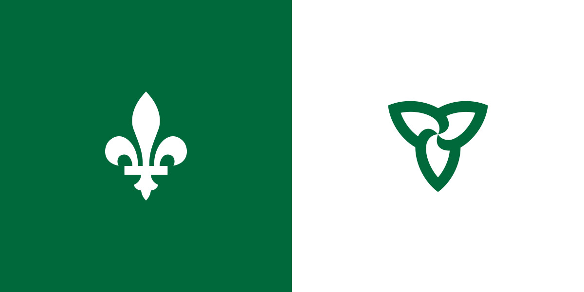 Un drapeau vert et blanc avec une fleur de lys dessus.