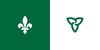 Un drapeau vert et blanc avec une fleur de lys dessus.