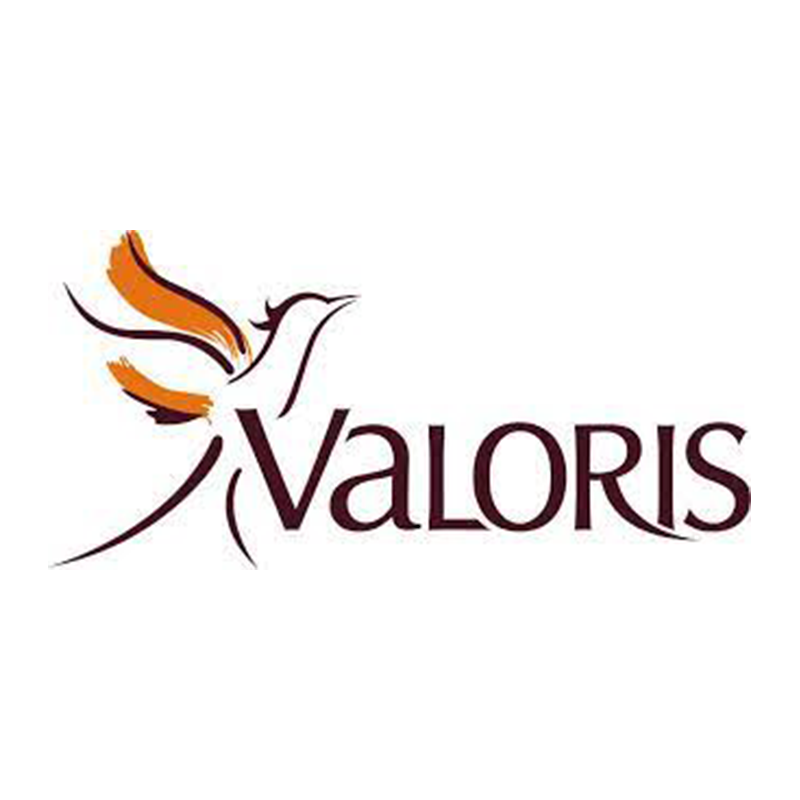 Un logo pour une entreprise appelée valoris avec un oiseau dessus.