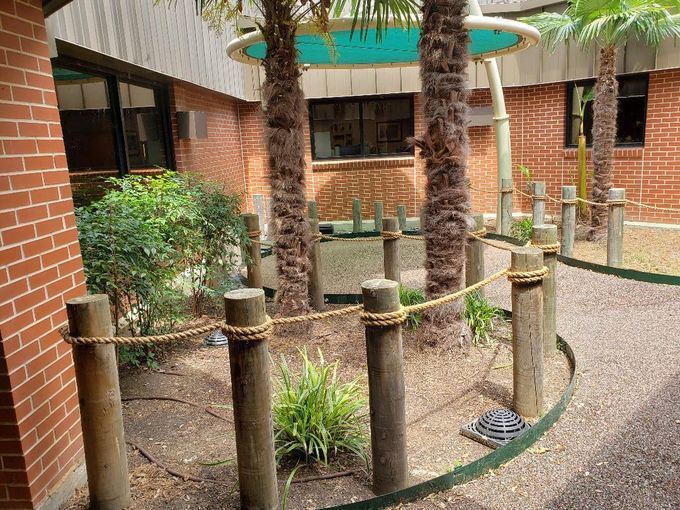 A brick building with palm trees and a wooden fence
