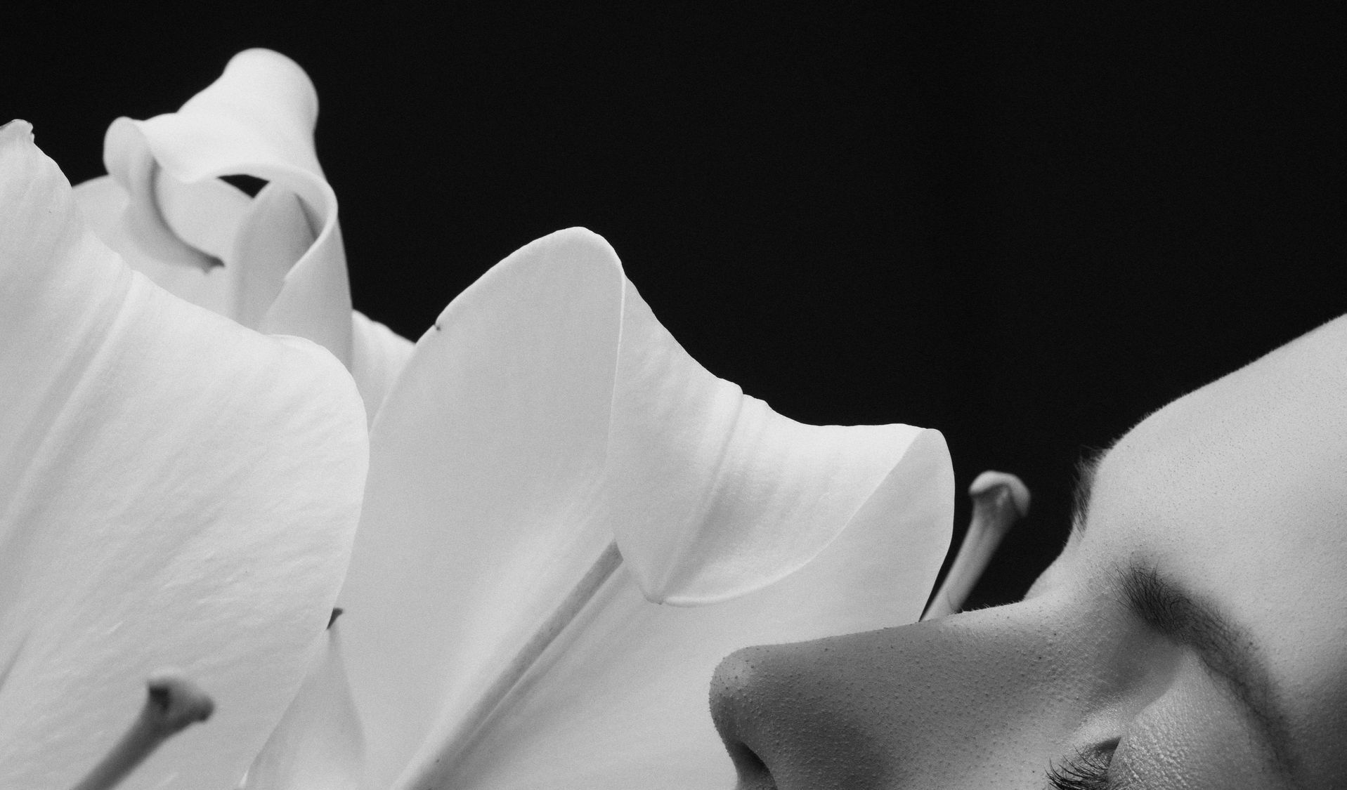 White lily petals next to a person's nose and face, black background.