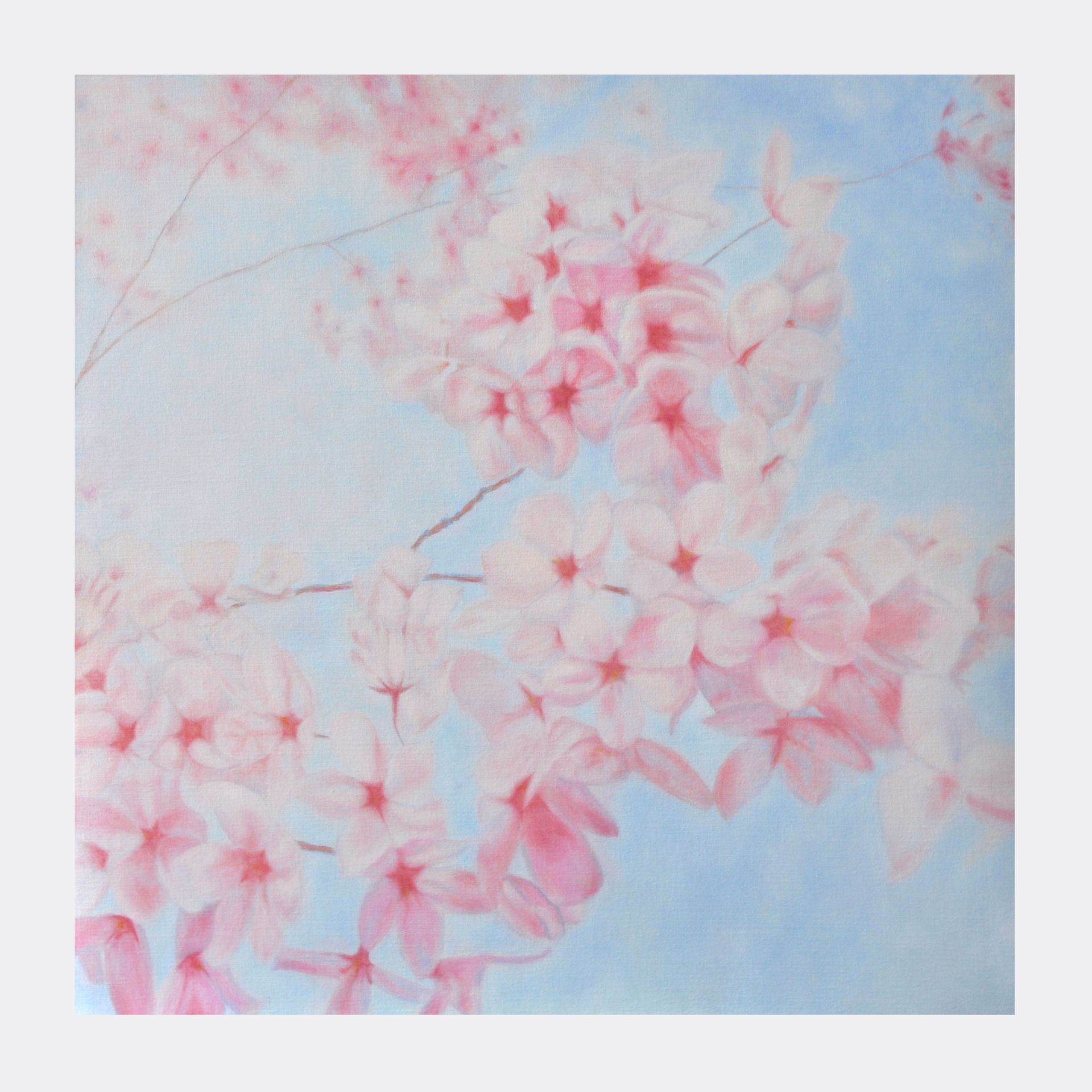 Sakura I