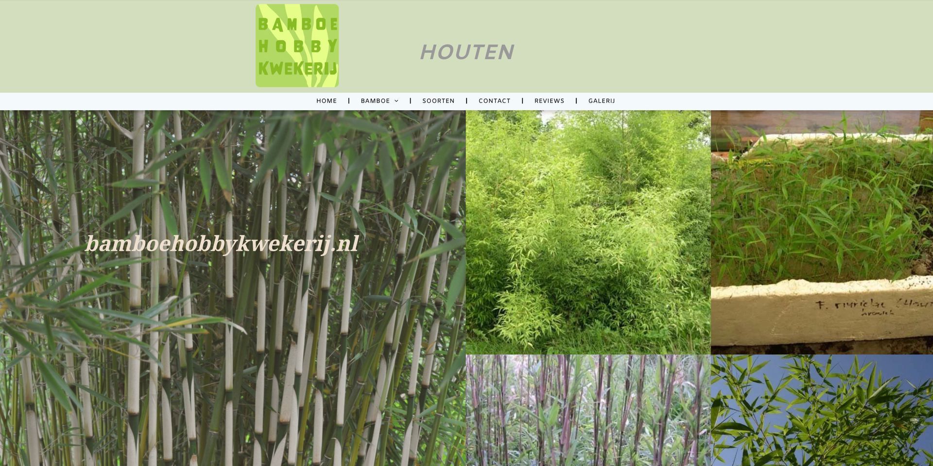 Bamboehobbykwekerij desktop