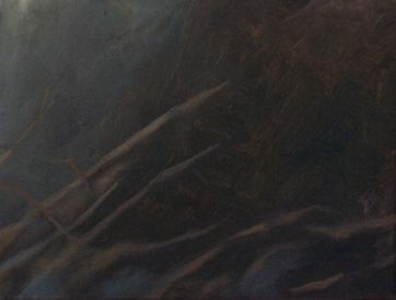 Albatrossen detail