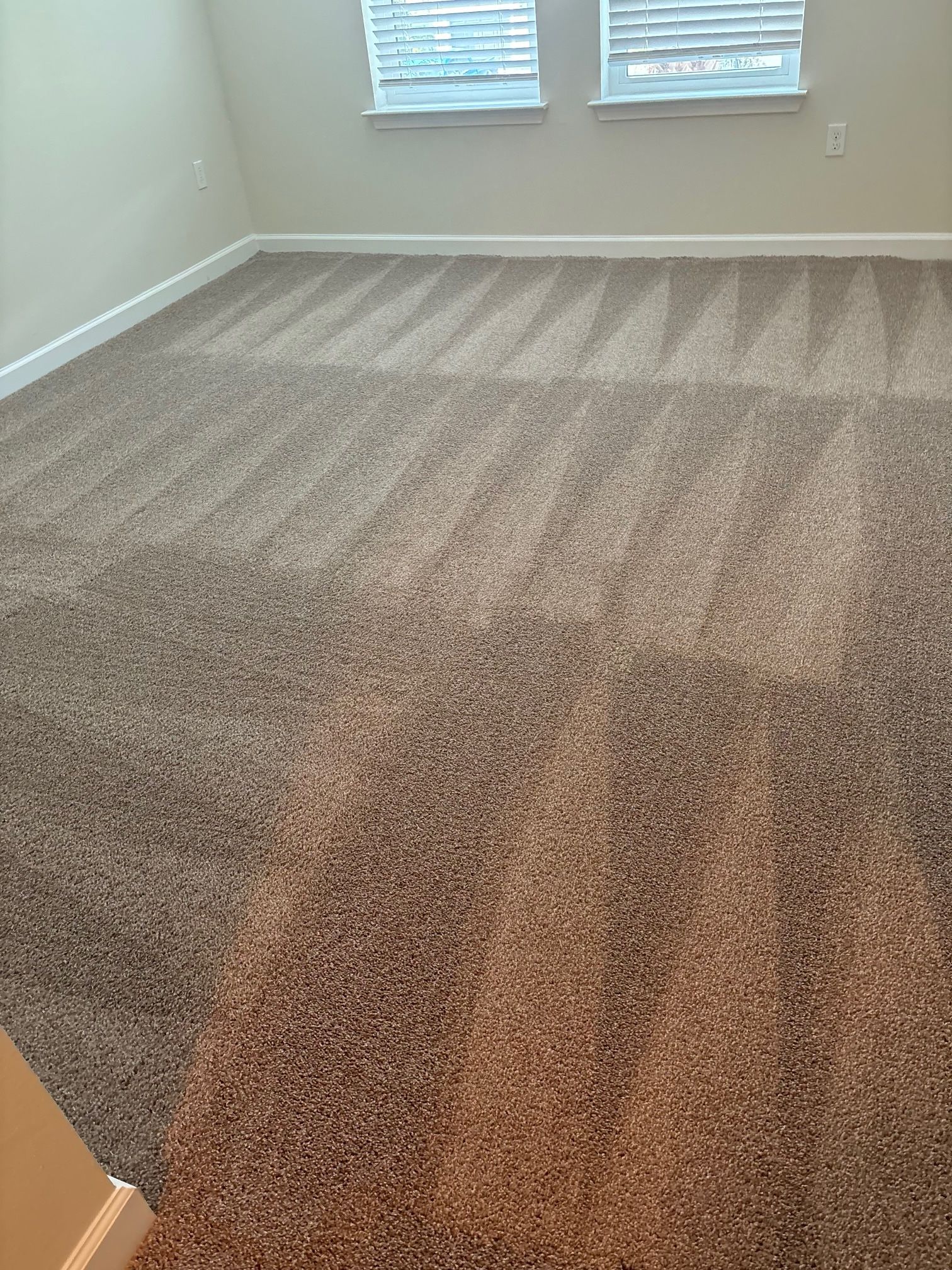 Carpet Cleaning near me