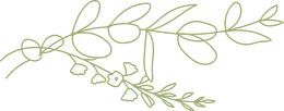 A delicate, hand-drawn outline of a green botanical branch with rounded leaves and small flowers.