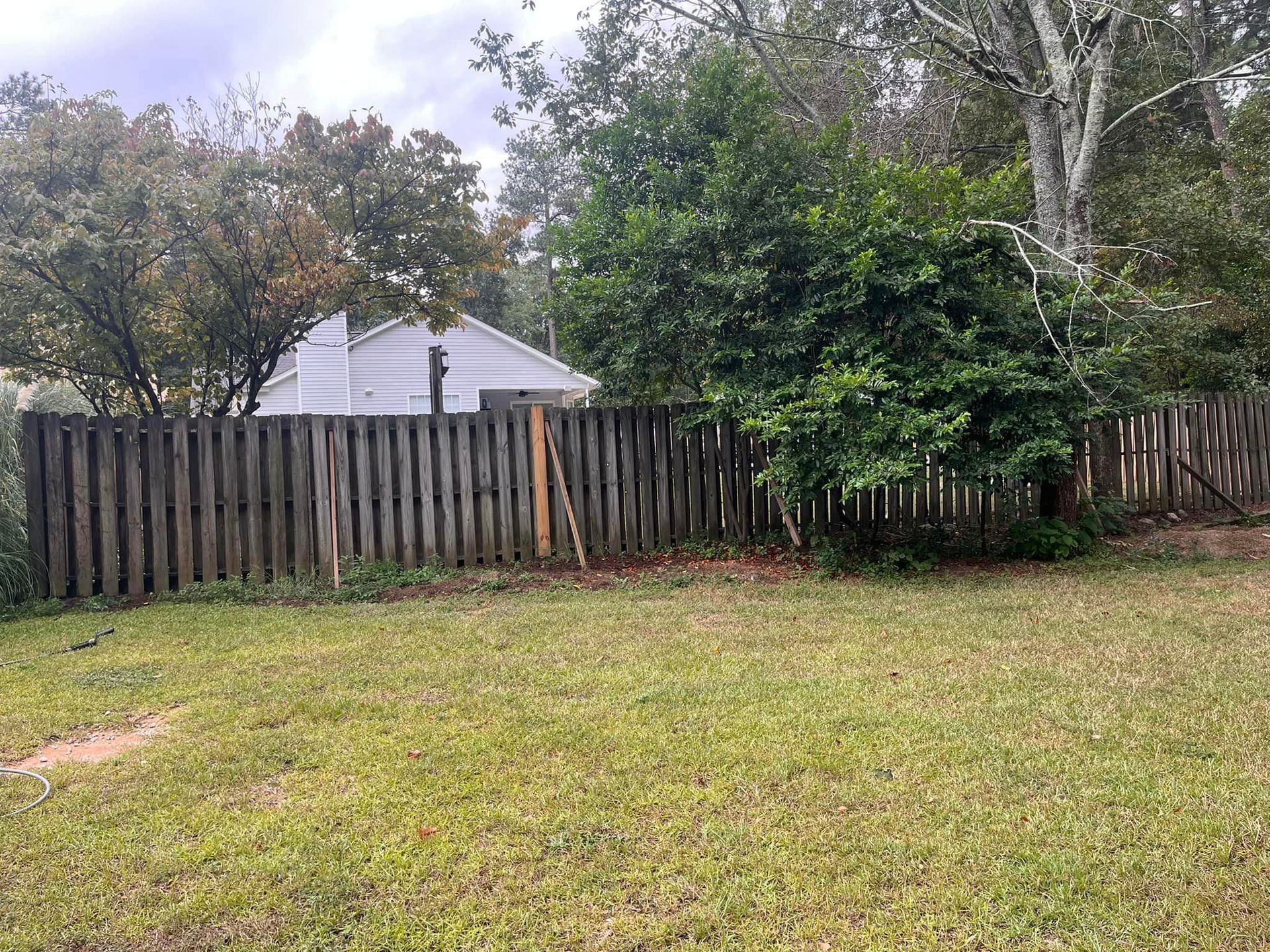 A wooden fence surrounds a grassy yard with trees in the background.