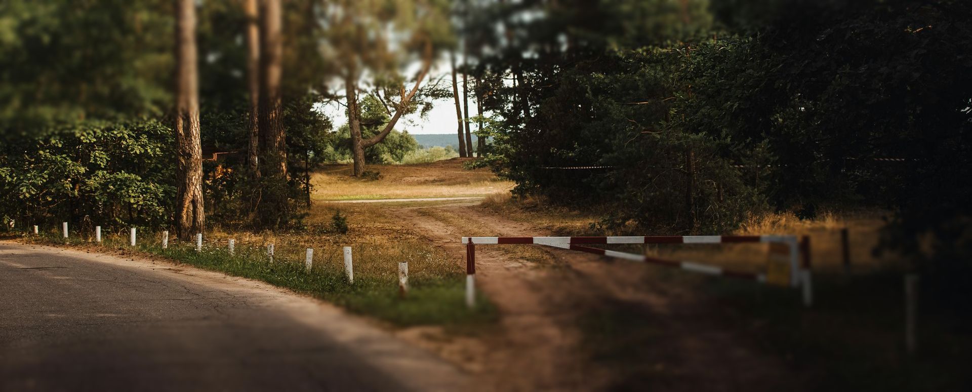 A road blocked by a barrier leads into a wooded area, trees and foliage surround.