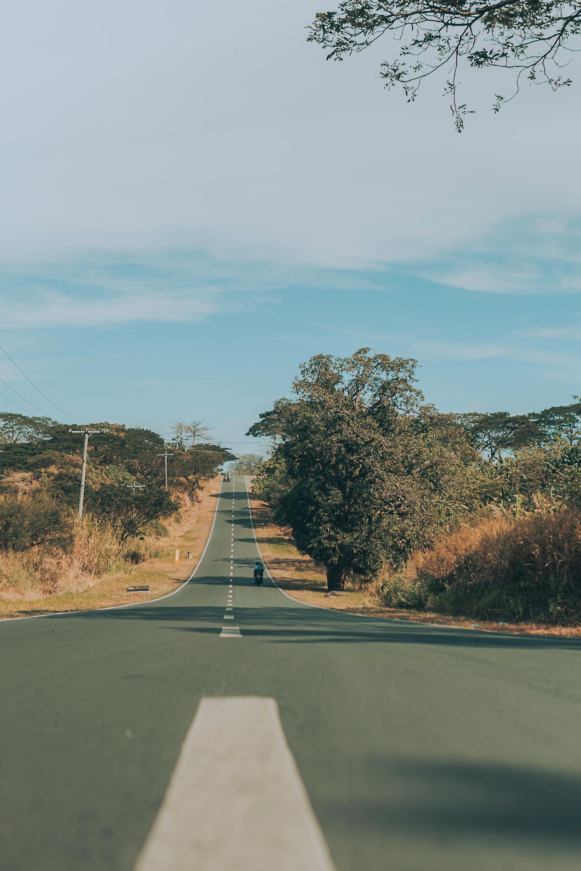 Paved road stretches uphill towards the horizon, lined with trees under a blue sky.