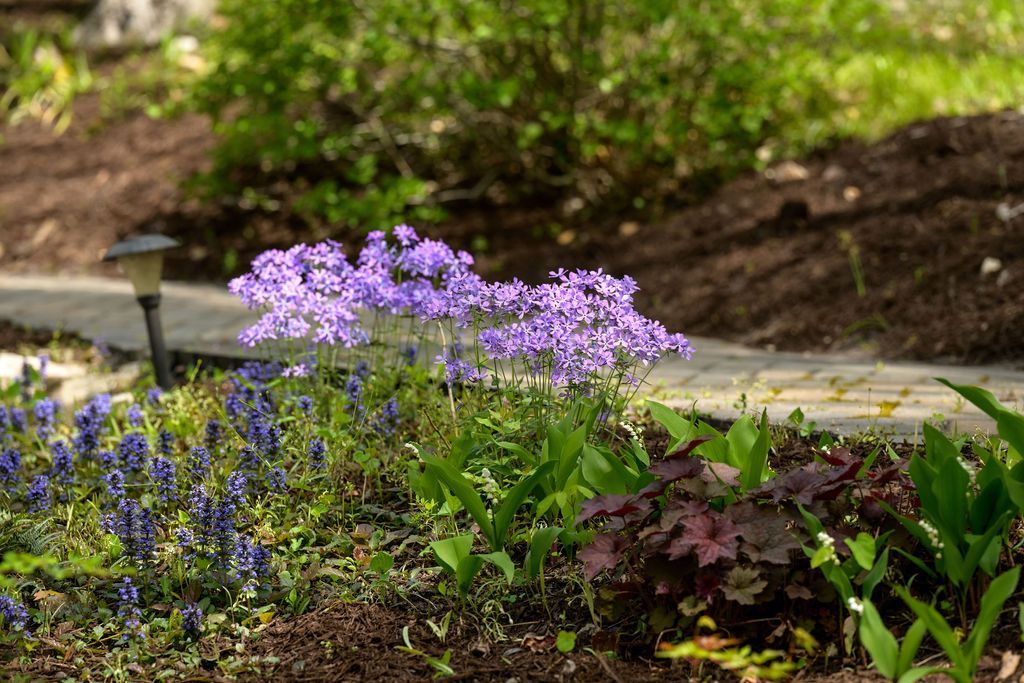 Custom Lawn Care Plans to Fit Your Needs - Quality Cut Lawn Care in Columbia, MO