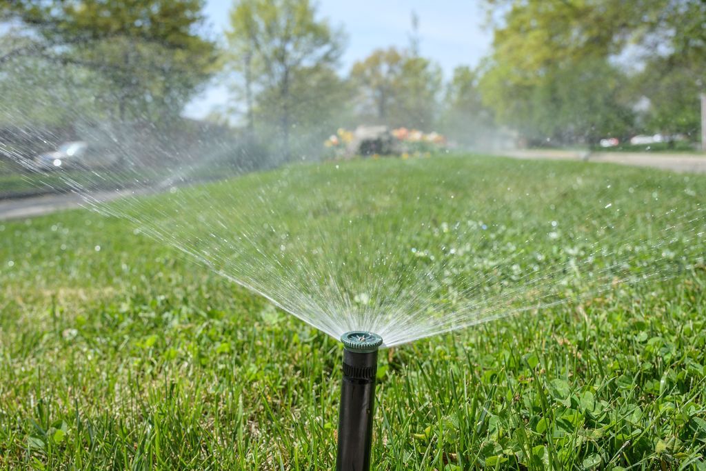 Give Your Lawn Professional Grade Care with Regular Fertilization Services from Quality Cut