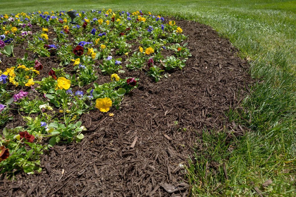 Beautiful Lawns Start Here - Quality Cut Lawn Care in Columbia, MO