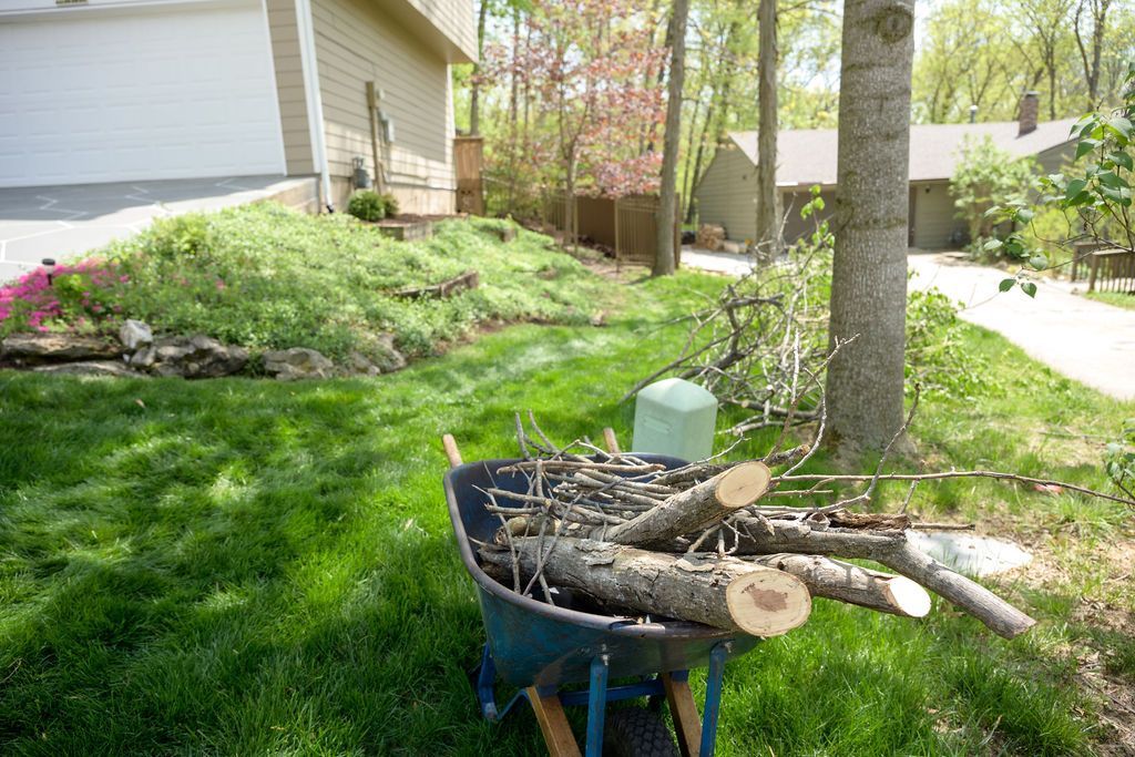 Wheelbarrow filled with cut branches in a sunny suburban yard near a tree and house