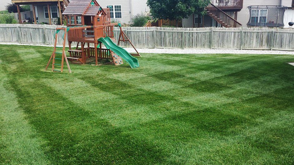 Expert Lawn Fertilization Services | Quality Cut Lawn Care Columbia, MO