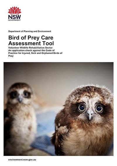 Bird of Prey Care Assessment Tool 2022