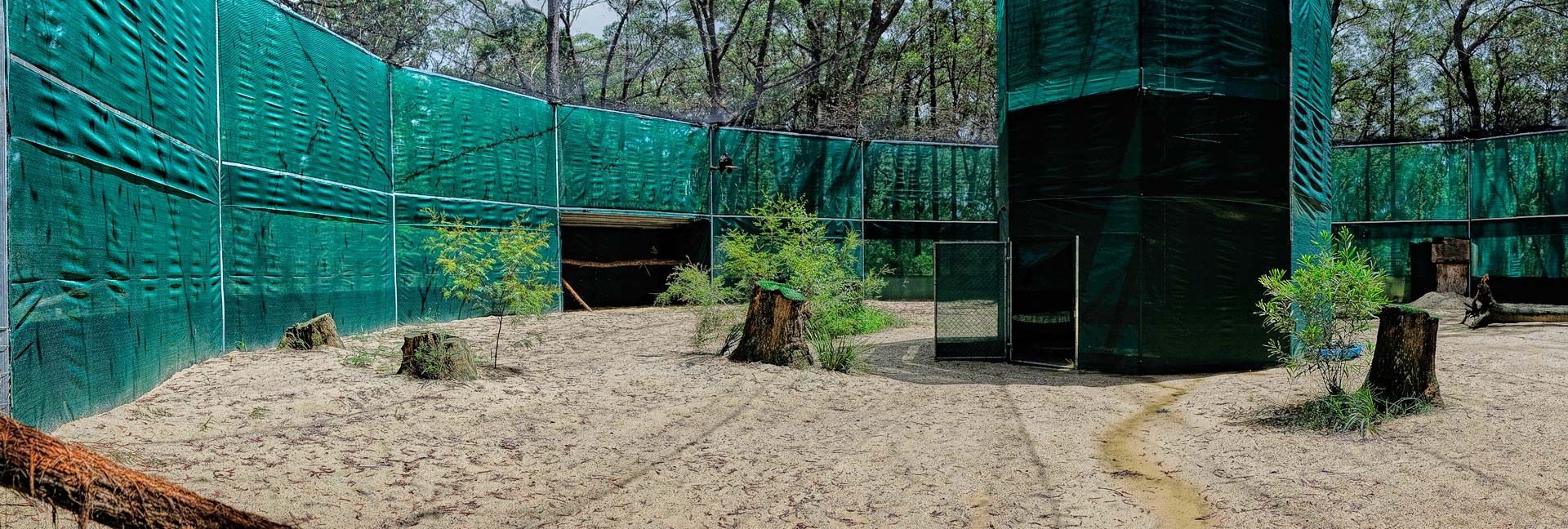 Aviary Rendering Aviary Design - Australian Raptor Care and Conservation Inc.