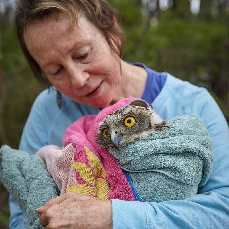 Codes of Practice - Australian Raptor Care and Conservation Inc.