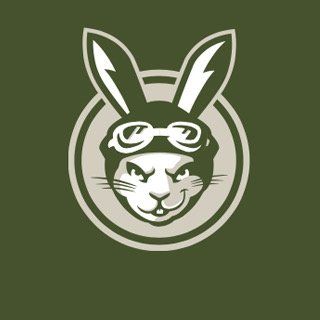 Smiling rabbit with goggles and a helmet, inside a circle on a green background.