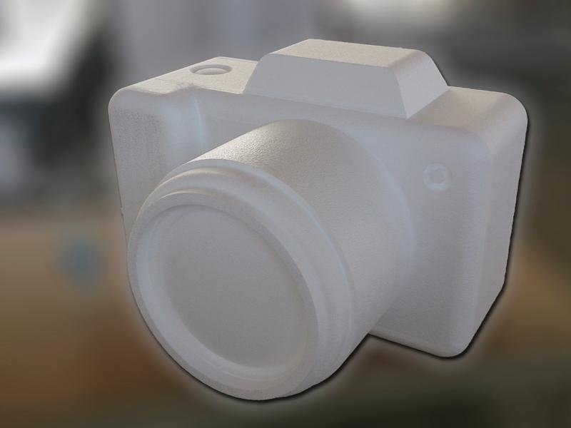 Riproduzione e vetrinistica