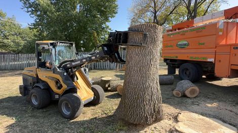 Stump Grinder — Exeter, NE — Axline Landscaping & Trees