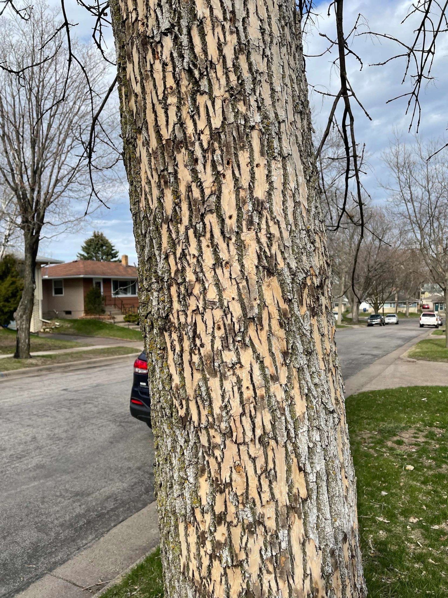 A Person Is Using a Multimeter to Test a Light Switch — Dalton, GA — Dalton Service Inc