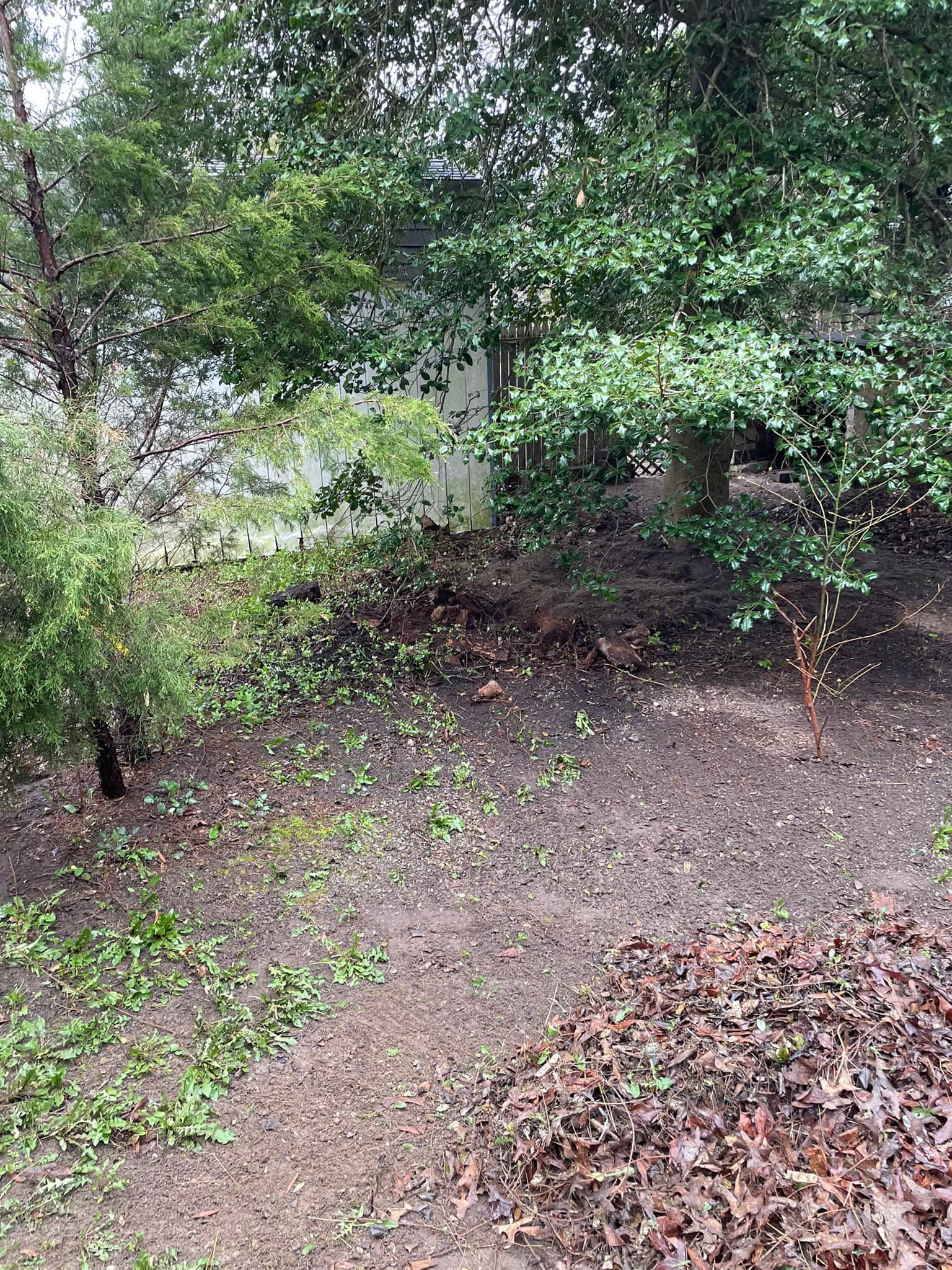 A pile of leaves is sitting on the ground in a yard surrounded by trees