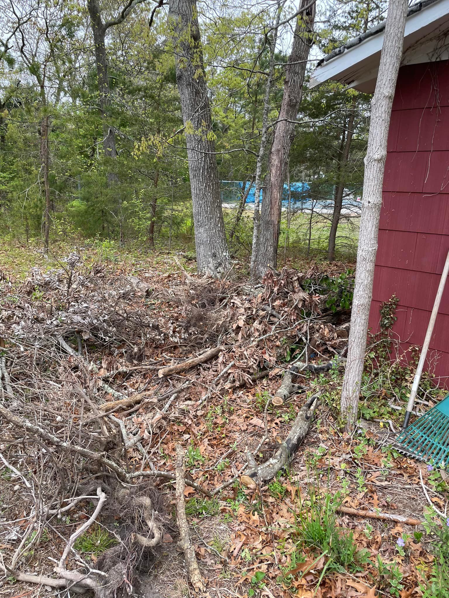 A pile of branches and leaves is in front of a red building