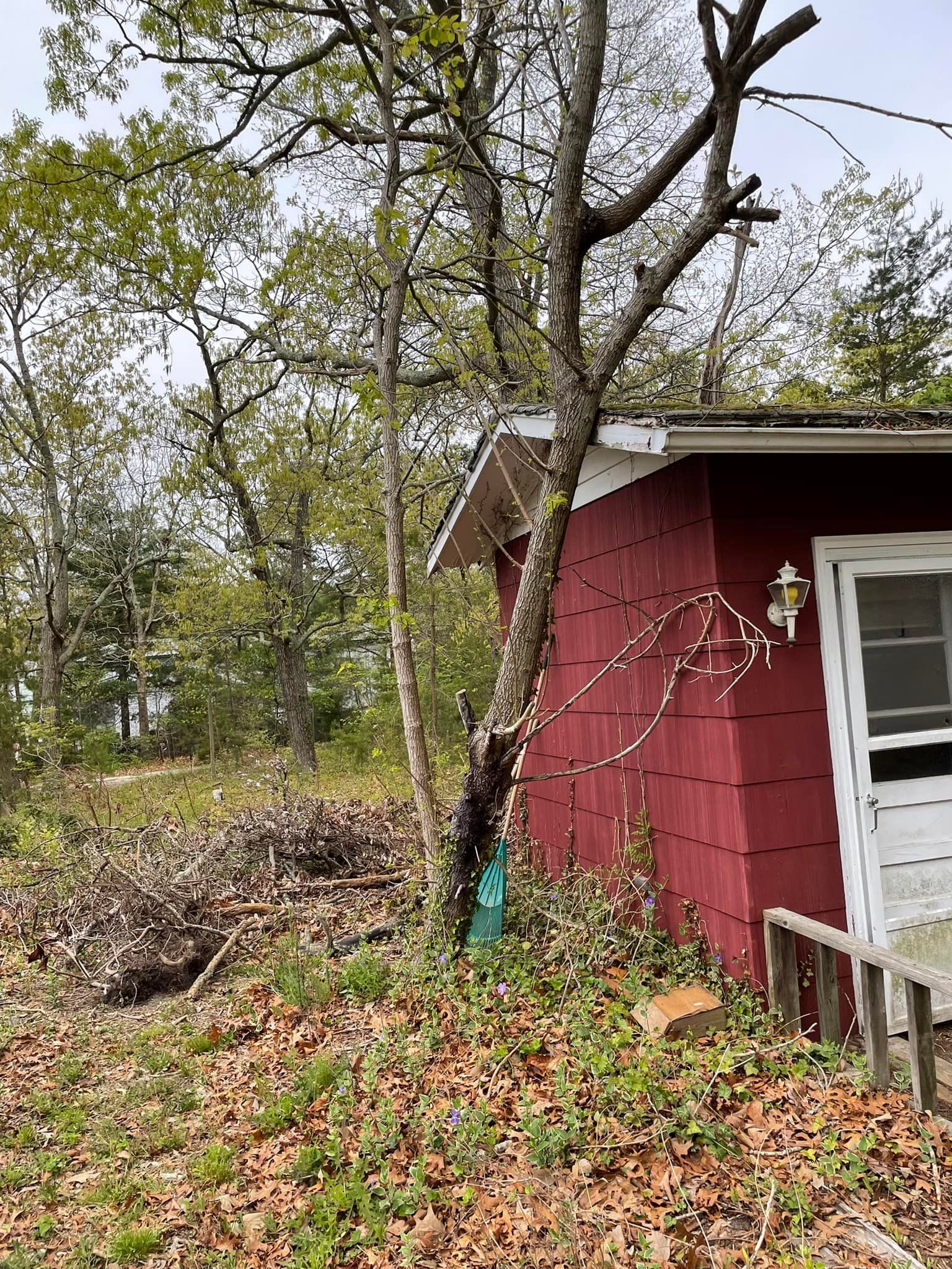 A red shed is surrounded by trees and leaves