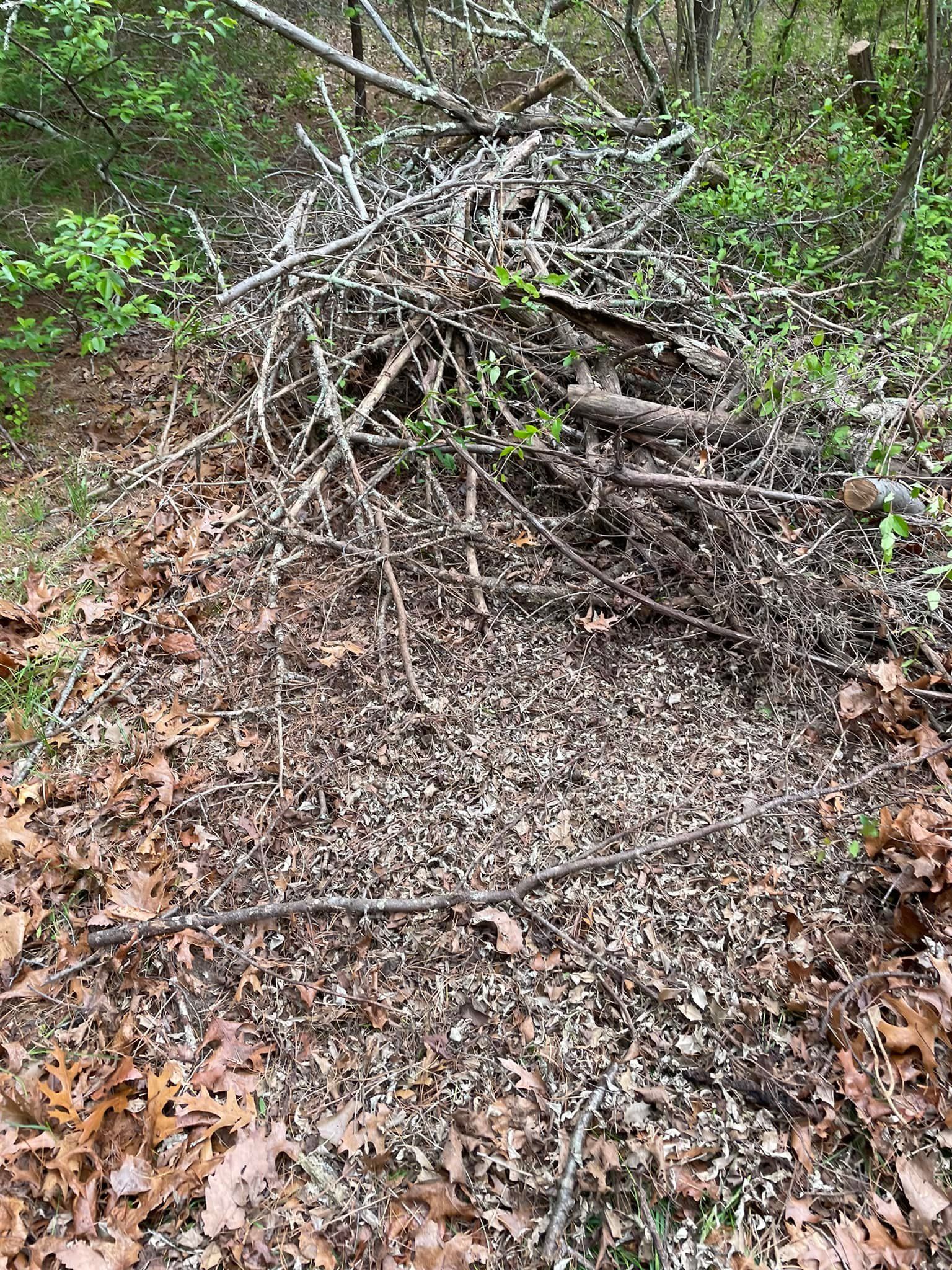 A pile of branches and leaves on the ground in the woods