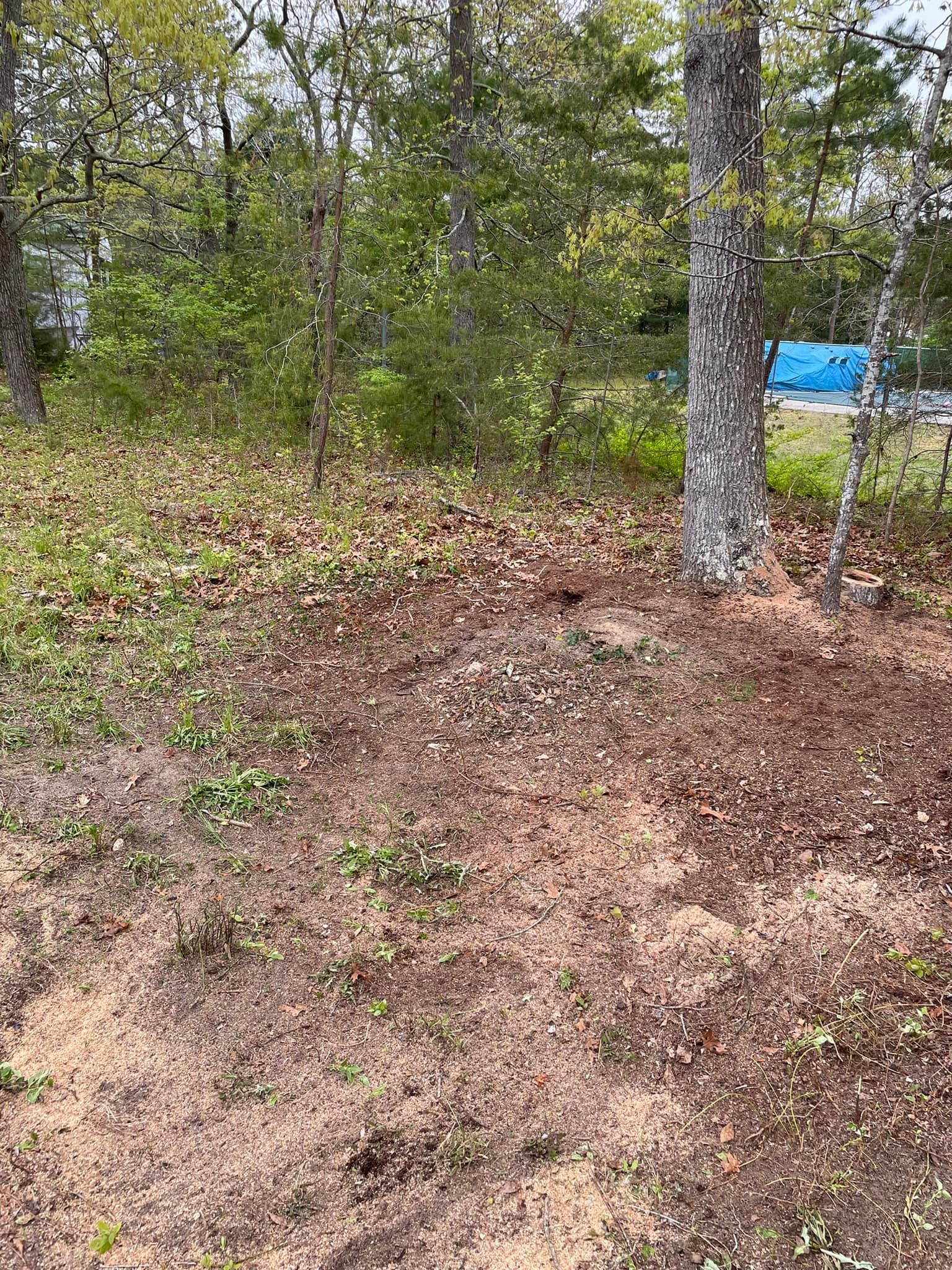 A dirt field with trees in the background and a blue tent in the background