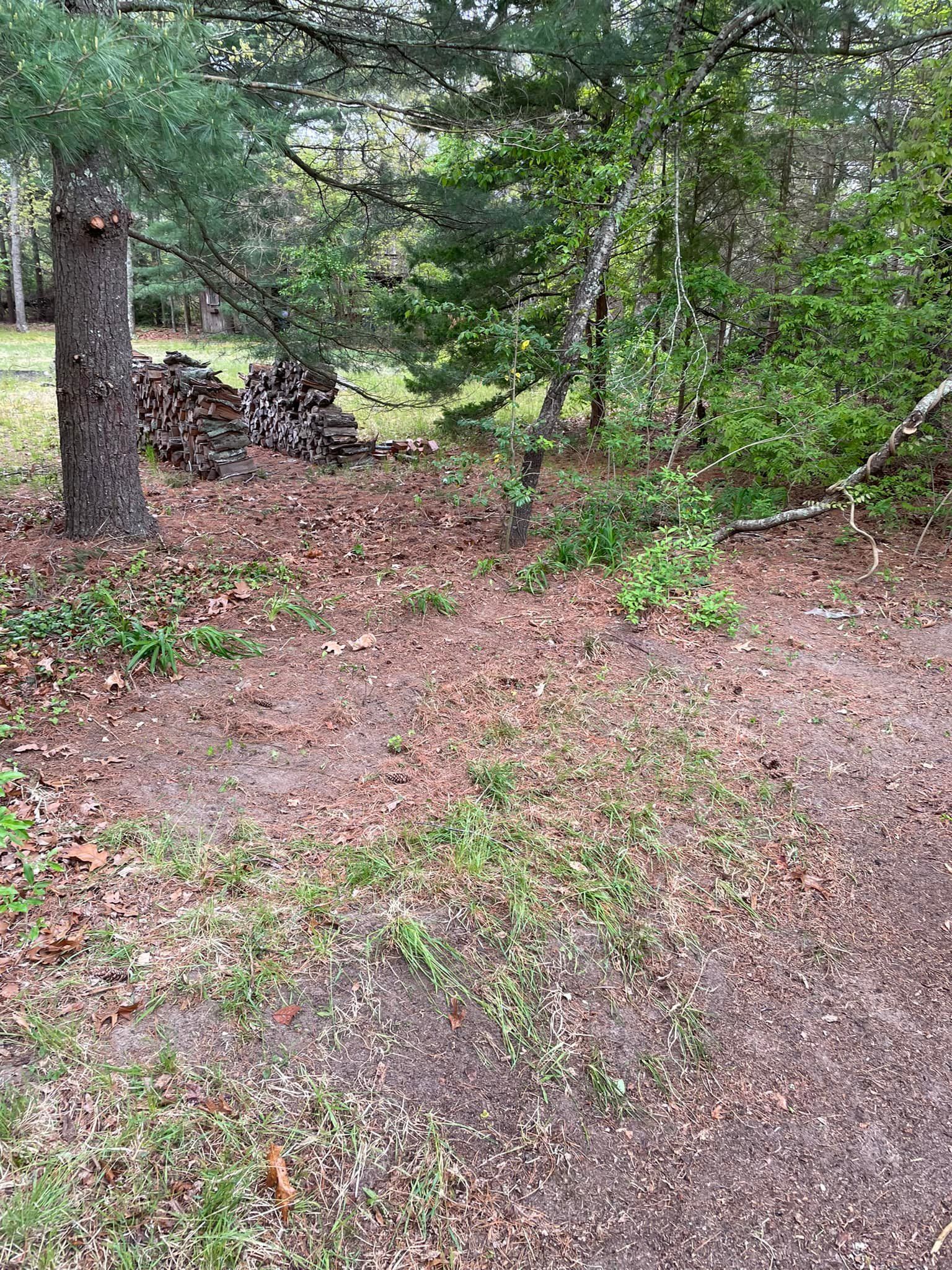 A dirt path in the middle of a forest with trees in the background