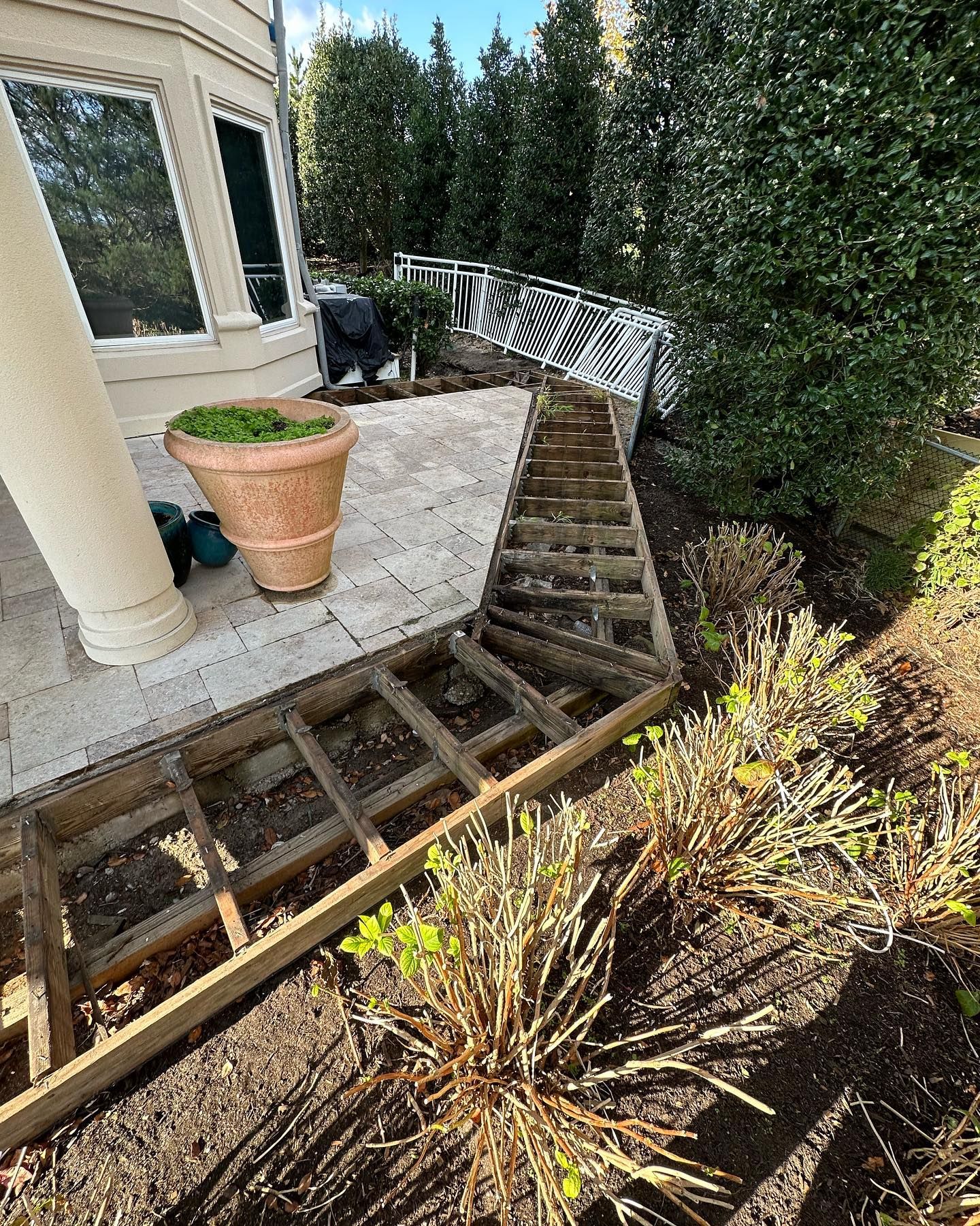 A potted plant is sitting on a wooden deck next to a house