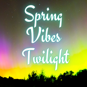 Spring Vibes Twilight Market - Makers Makets