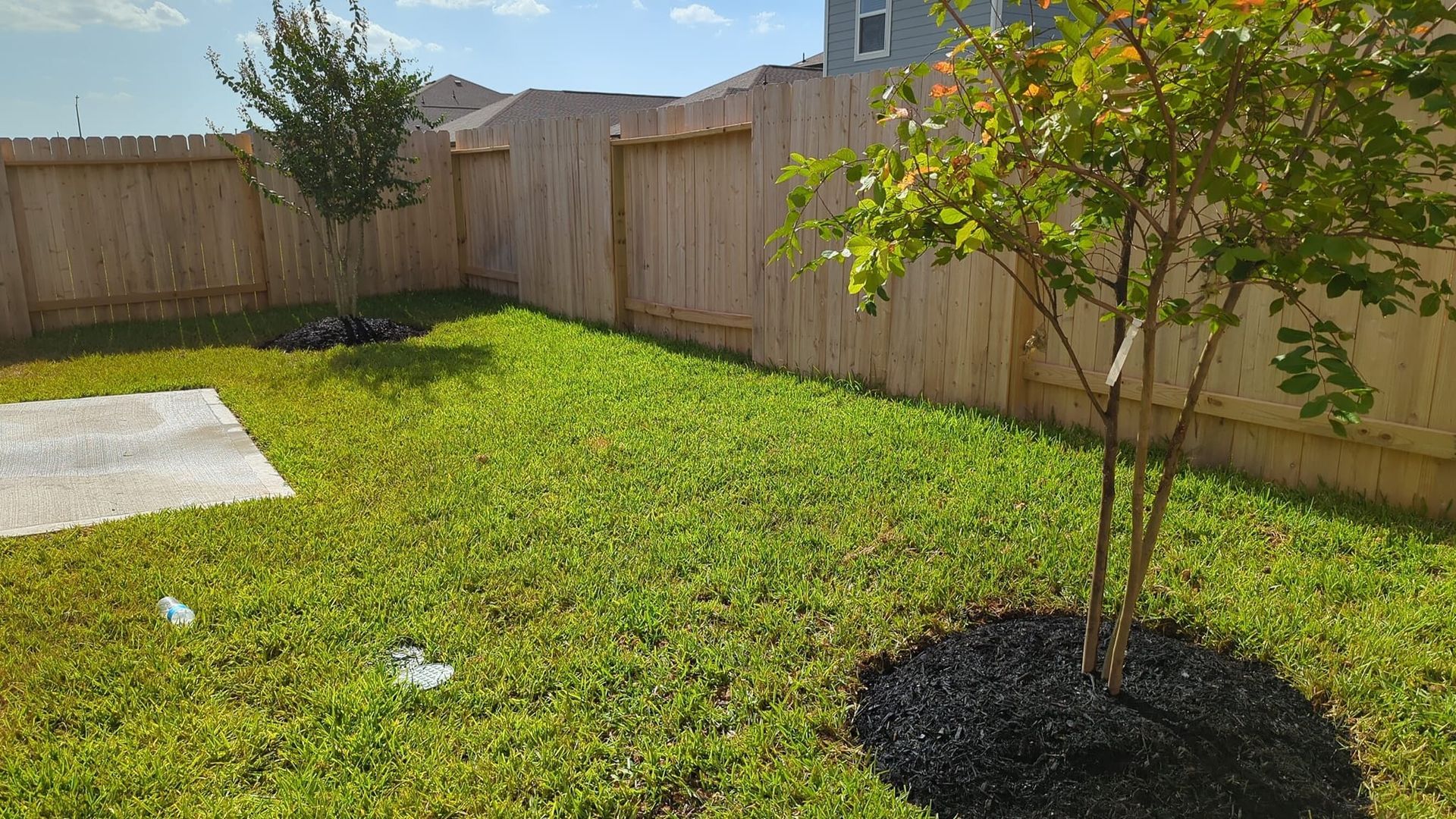 A backyard with a wooden fence and a tree in the middle of it.