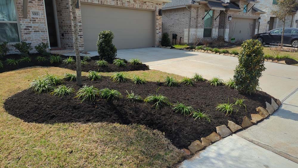 A lawn with a lot of mulch and plants in front of a house.
