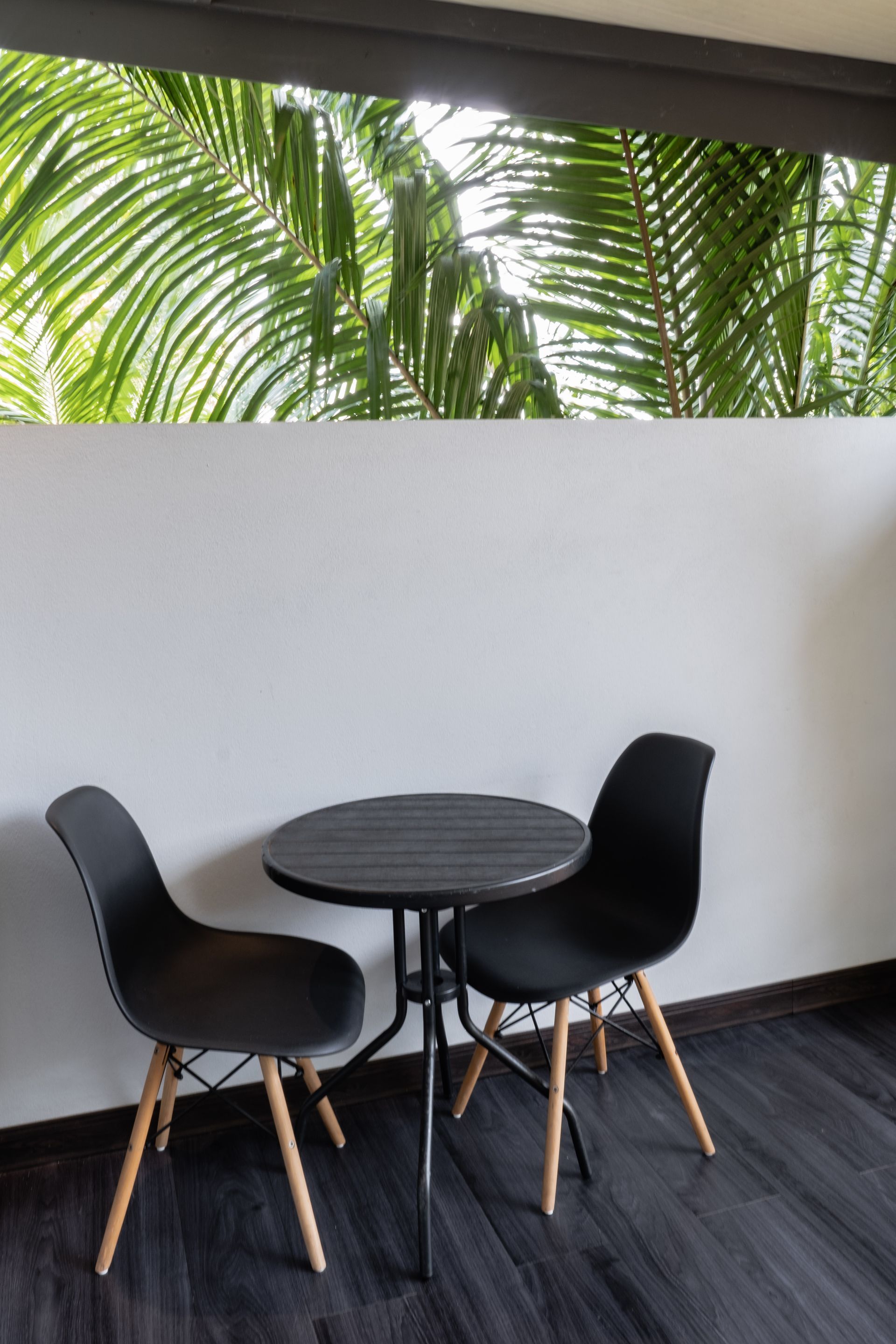 Small round black table with two black chairs on a patio beside a white wall and palm leaves.