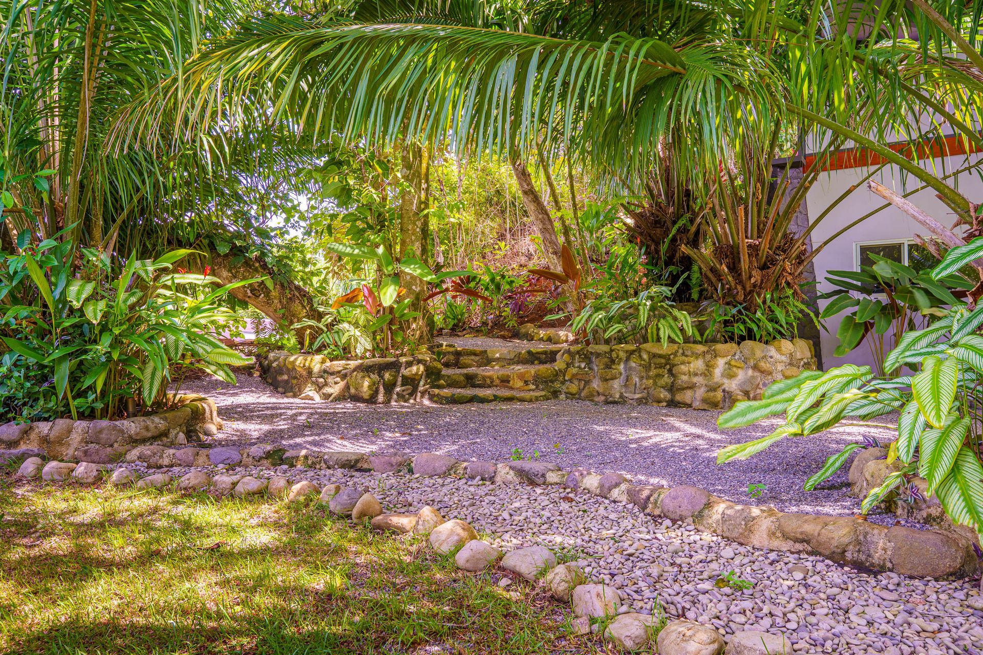 Lush tropical garden with palm fronds, stone path, and gravel courtyard in bright sunlight