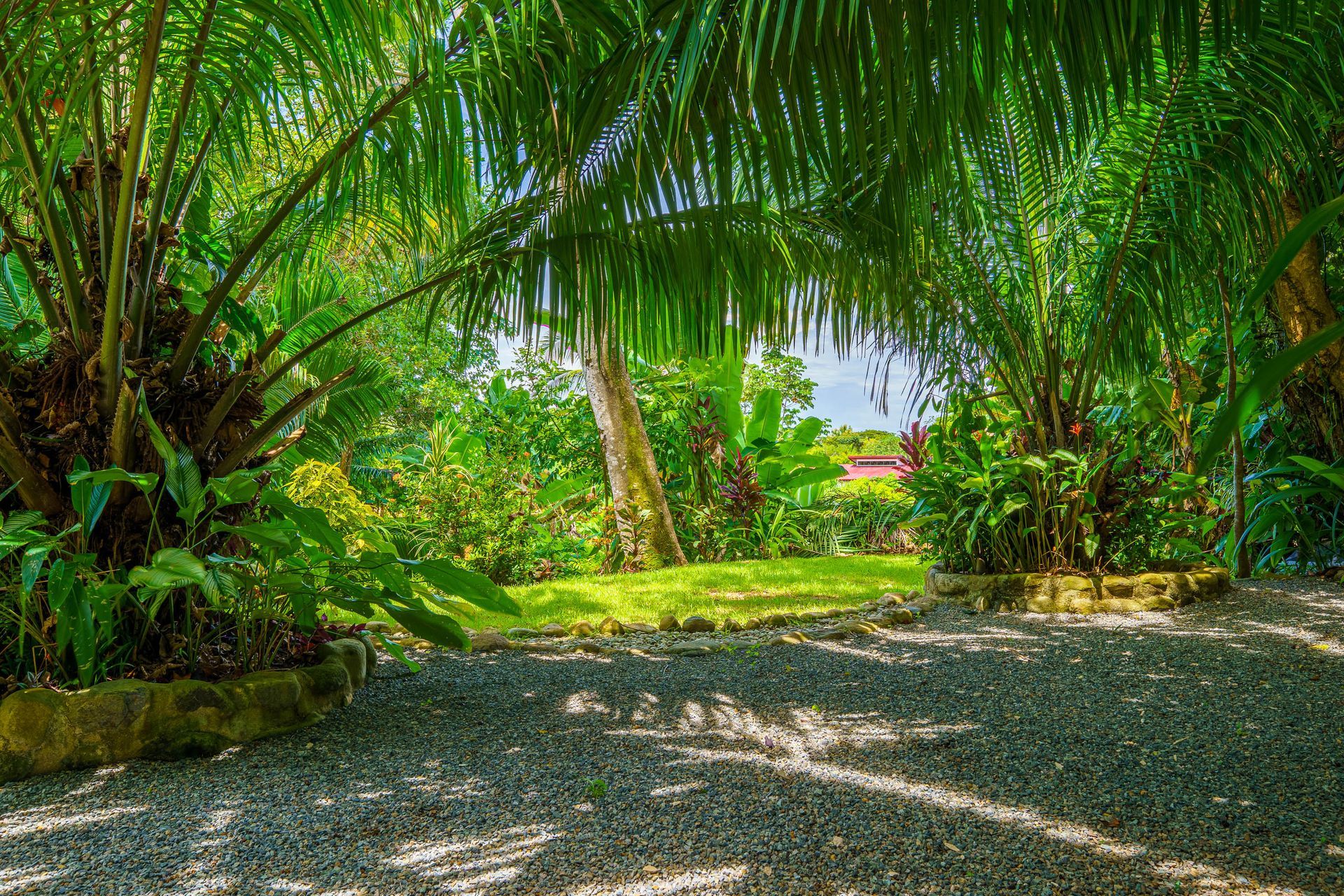A gravel path leads through a lush, green tropical garden under the shade of palm trees.