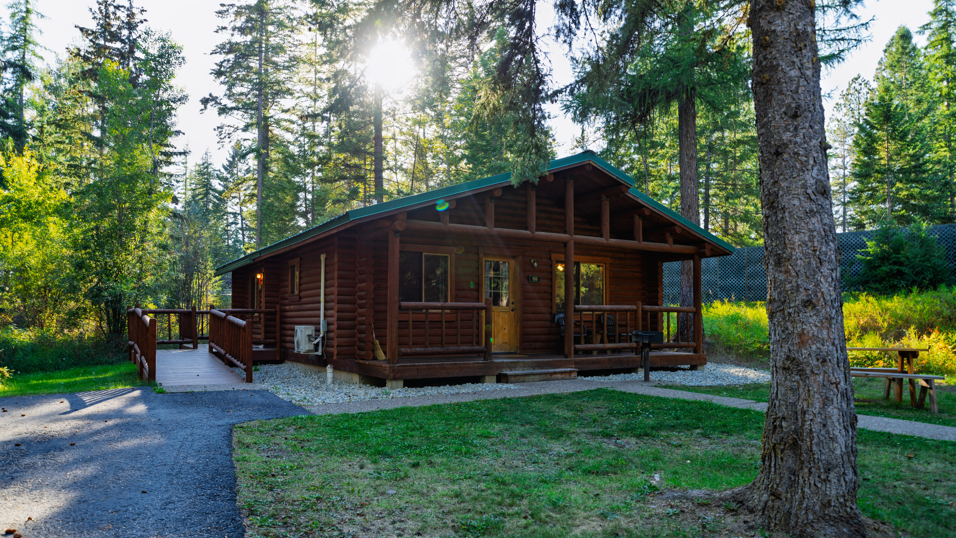 Wooden cabin among tall pine trees, with sunlit porch and gravel path in a forest setting