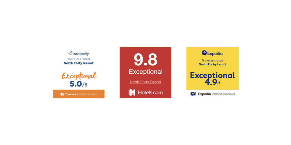 Three review badges on white: blue/orange 5.0, red 9.8 Exceptional, yellow 4.9 Exceptional