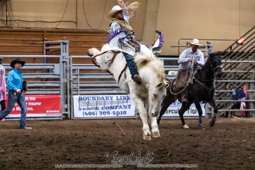 Rodeo: Cowboy on a white bucking bronco. Another cowboy on horseback nearby. Arena setting.